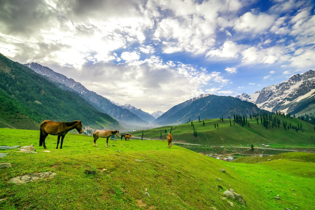 Exploring the Paradise on Earth: A Memorable Kashmir Trip with BKV Holidays & Visa